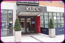 Kudos Bar