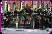 O'Neills